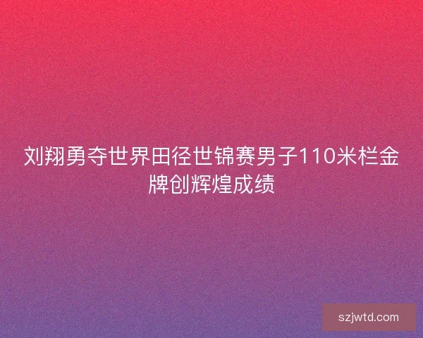 刘翔勇夺世界田径世锦赛男子110米栏金牌创辉煌成绩