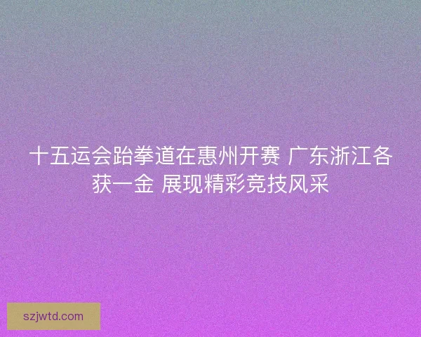 十五运会跆拳道在惠州开赛 广东浙江各获一金 展现精彩竞技风采