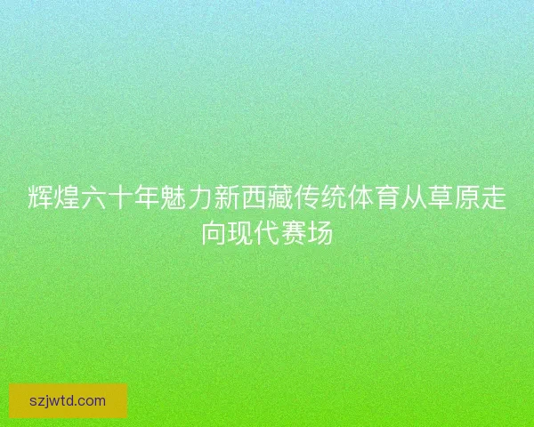 辉煌六十年魅力新西藏传统体育从草原走向现代赛场