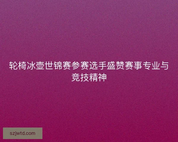 轮椅冰壶世锦赛参赛选手盛赞赛事专业与竞技精神