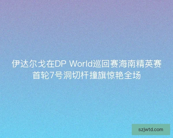 伊达尔戈在DP World巡回赛海南精英赛首轮7号洞切杆撞旗惊艳全场