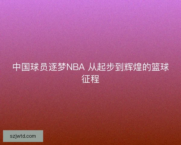 中国球员逐梦NBA 从起步到辉煌的篮球征程
